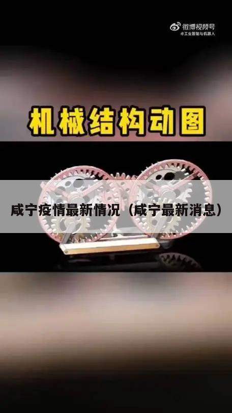 咸宁疫情最新情况(咸宁最新消息)