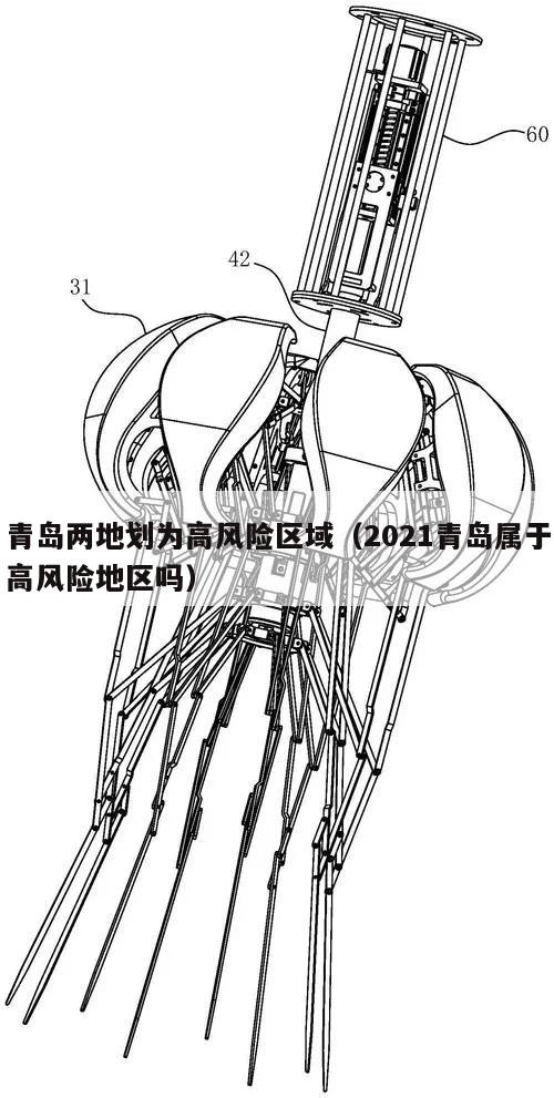 青岛两地划为高风险区域(2021青岛属于高风险地区吗)