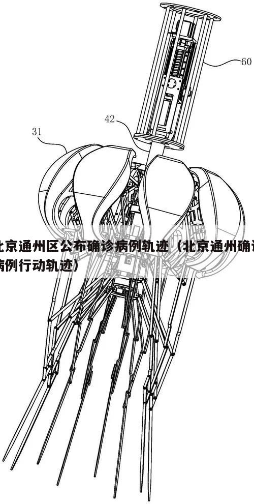 北京通州区公布确诊病例轨迹(北京通州确诊病例行动轨迹)